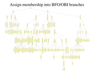 assign membership into bfo obi branches