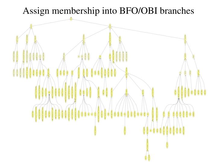assign membership into bfo obi branches