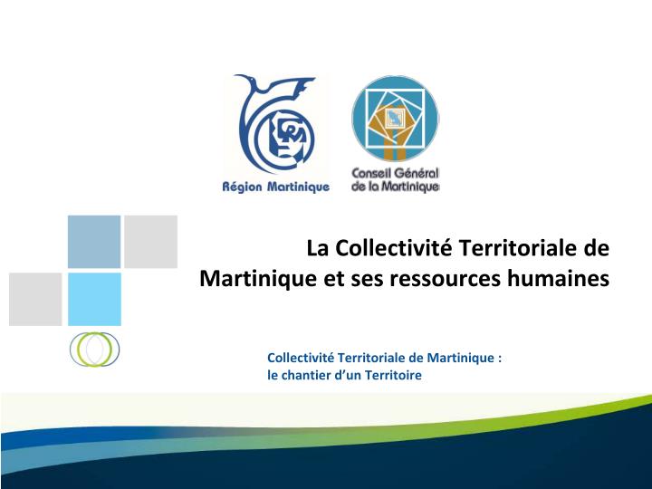 la collectivit territoriale de martinique et ses ressources humaines