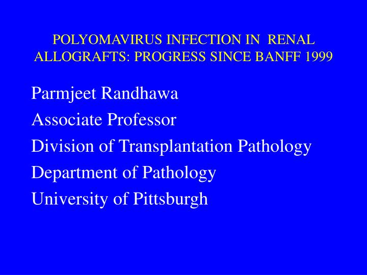 polyomavirus infection in renal allografts progress since banff 1999