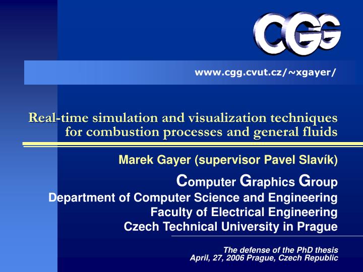 real time simulation and visualization techniques for combustion processes and general fluids