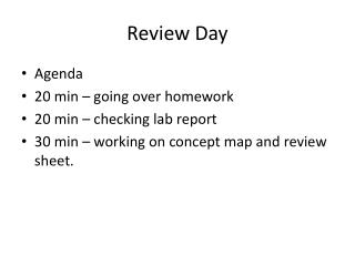 Review Day