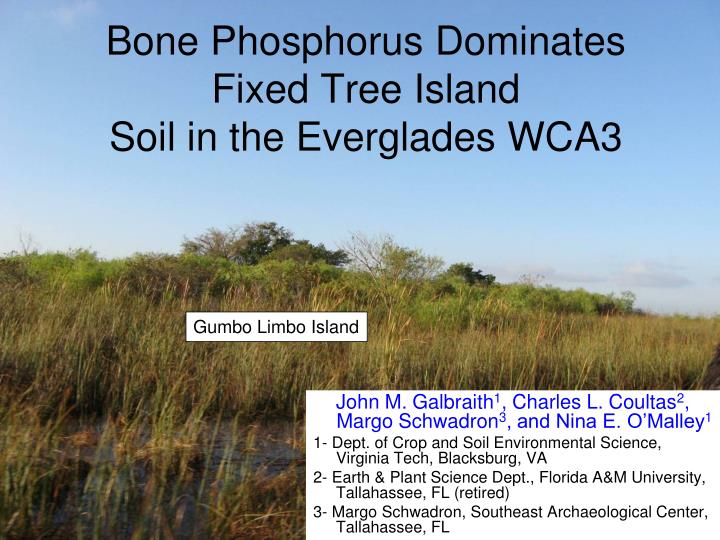 bone phosphorus dominates fixed tree island soil in the everglades wca3