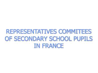 REPRESENTATIVES COMMITEES OF SECONDARY SCHOOL PUPILS IN FRANCE