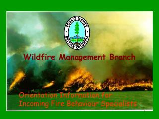 Wildfire Management Branch