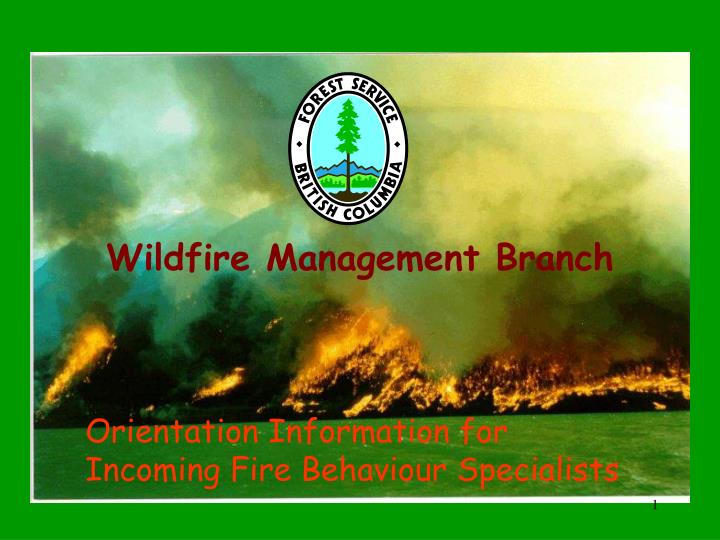 wildfire management branch