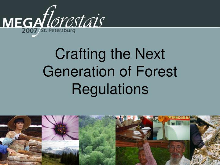 crafting the next generation of forest regulations