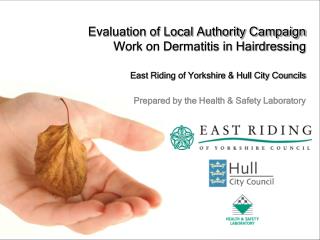 Evaluation of Local Authority Campaign Work on Dermatitis in Hairdressing