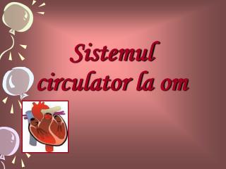sistemul circulator la om
