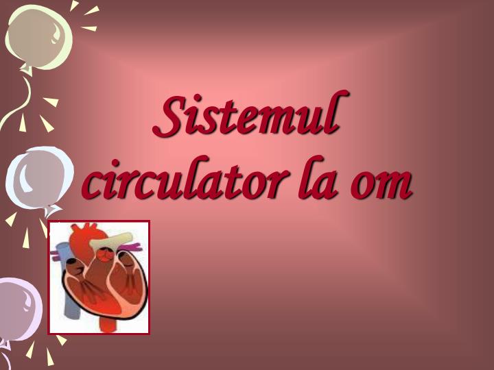 sistemul circulator la om