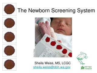 The Newborn Screening System