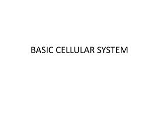 BASIC CELLULAR SYSTEM