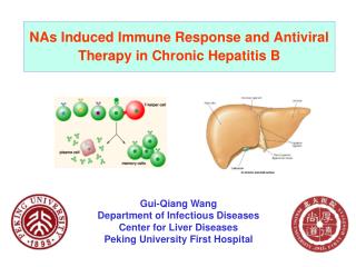 NAs Induced Immune Response and Antiviral Therapy in Chronic Hepatitis B
