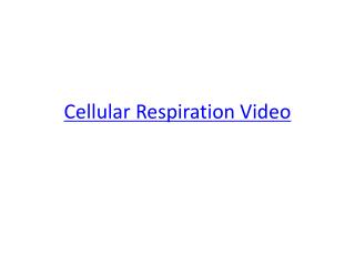 Cellular Respiration Video