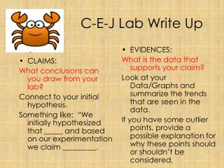 c e j lab write up