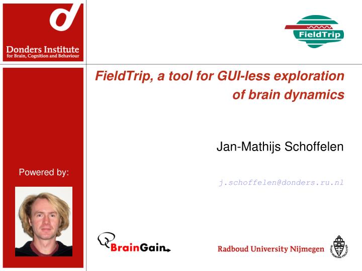 fieldtrip a tool for gui less exploration of brain dynamics