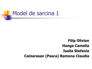 model de sarcina 1