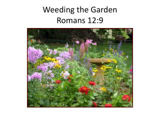 Weeding the Garden Romans 12:9
