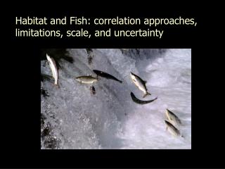 Habitat and Fish: correlation approaches, limitations, scale, and uncertainty
