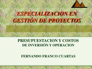 especializacion en gesti n de proyectos