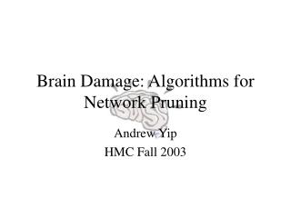 Brain Damage: Algorithms for Network Pruning