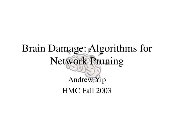 brain damage algorithms for network pruning