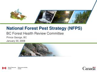 National Forest Pest Strategy (NFPS)