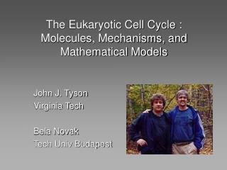 The Eukaryotic Cell Cycle : Molecules, Mechanisms, and Mathematical Models