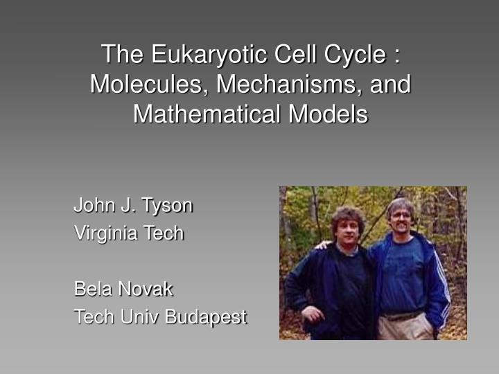 the eukaryotic cell cycle molecules mechanisms and mathematical models