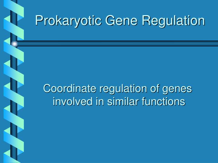 prokaryotic gene regulation