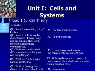 Topic 1.1: Cell Theory p. 5 and 6