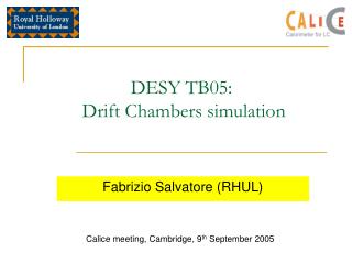 DESY TB05: Drift Chambers simulation