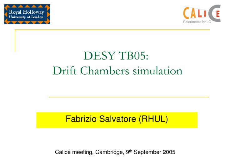 desy tb05 drift chambers simulation