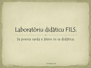 laborat riu did ticu fils