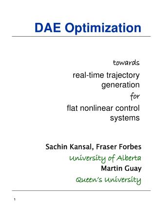 DAE Optimization