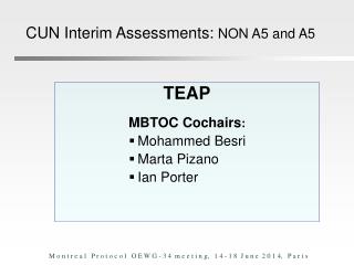 TEAP 	 MBTOC Cochairs : Mohammed Besri Marta Pizano Ian Porter