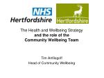 The Health and Wellbeing Strategy and the role of the Community Wellbeing Team
