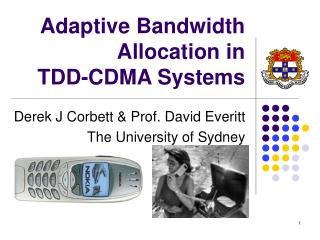 Adaptive Bandwidth Allocation in TDD-CDMA Systems