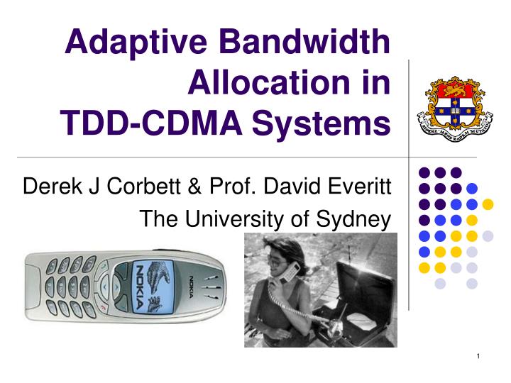 adaptive bandwidth allocation in tdd cdma systems