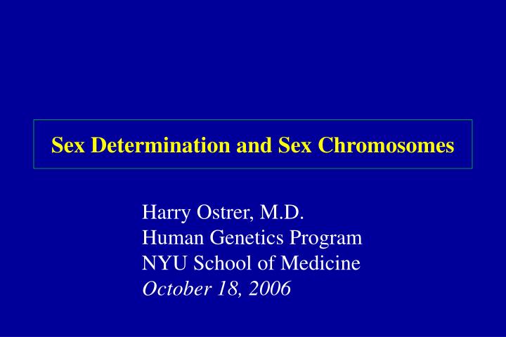 sex determination and sex chromosomes