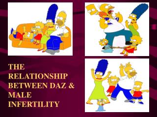 THE RELATIONSHIP BETWEEN DAZ &amp; MALE INFERTILITY