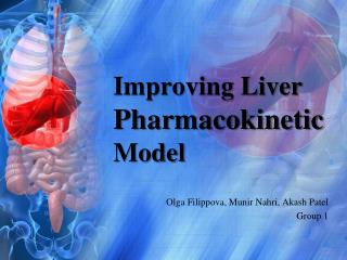 Improving Liver Pharmacokinetic Model
