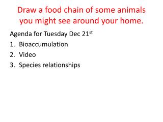 Draw a food chain of some animals you might see around your home.