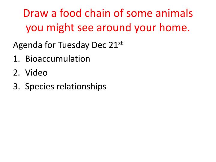 draw a food chain of some animals you might see around your home