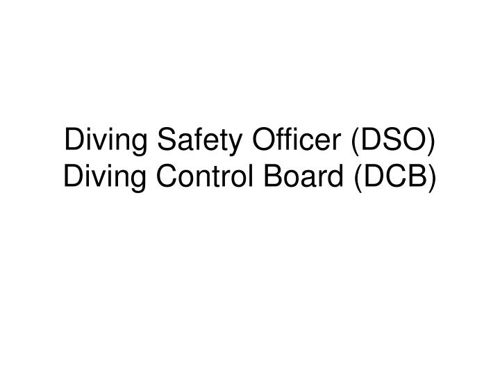 diving safety officer dso diving control board dcb