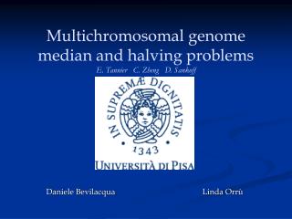 Multichromosomal genome median and halving problems E. Tannier C. Zheng D. Sankoff