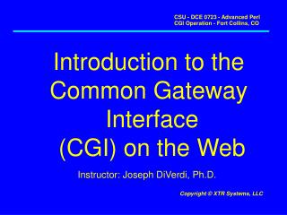 Introduction to the Common Gateway Interface (CGI) on the Web