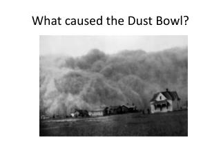 What caused the Dust Bowl?