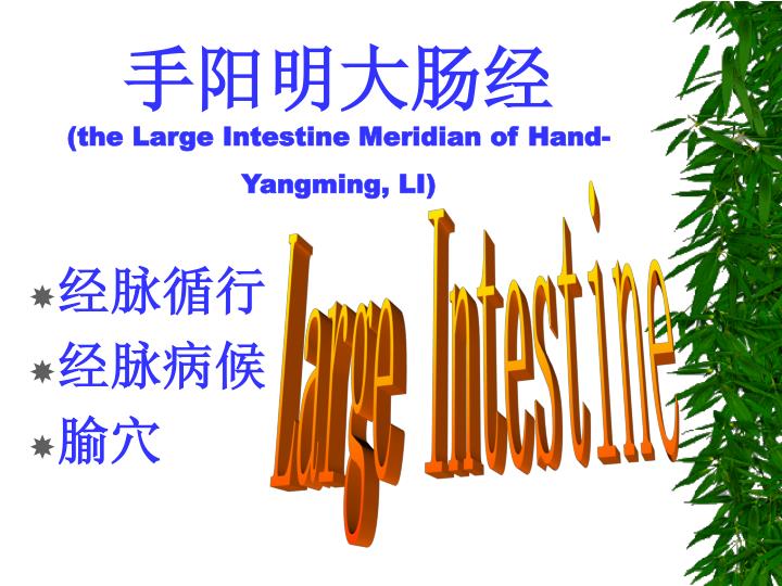the large intestine meridian of hand yangming li