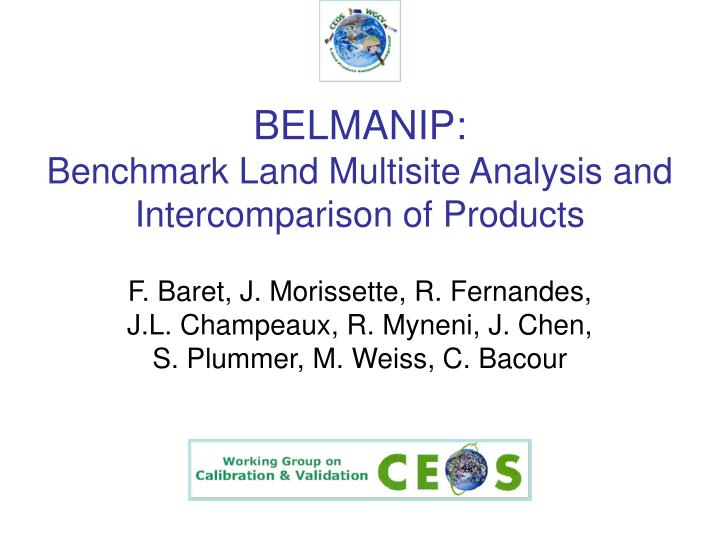 belmanip benchmark land multisite analysis and intercomparison of products